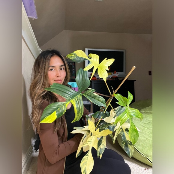 Meet your Posher, Lea - Picture 3 of 5